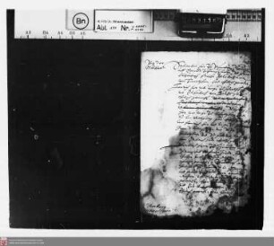 Ahnenprobe der Töchter des Salentin von Isenburg-Neumagen [für Sayn-Wittgenstein]