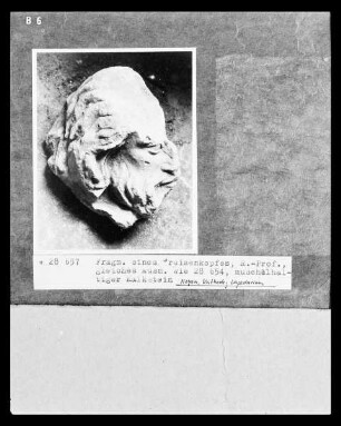 Fragment einer Greisenstatue