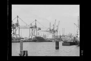 Columbus Tasmania ex Santa Rosa (1976), HSDG, Hamburg