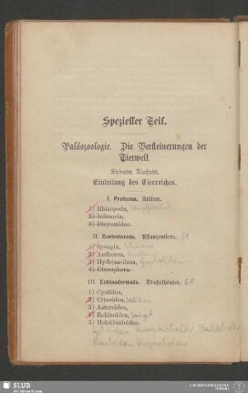 Spezieller Teil