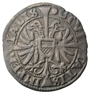 Fundmünze, Dreigröscher (Düttchen), 1624