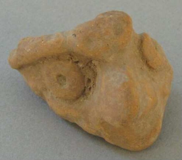 Clay animal head (fragment)