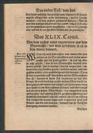 Das XLIX. Capitel.