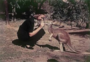 Touristin mit jungem Kängeruh (Reisefotos Australien)