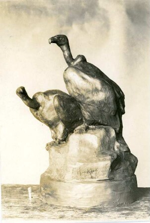 Gänsegeier : Gänsegeier. Wohl Gips, getönt (1910; E. Richter). Dresden, Eisenstuckstraße, Atelier der Künstlerin
