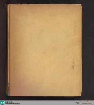 Physica particularis - Cod. Ettenheim-Münster 331