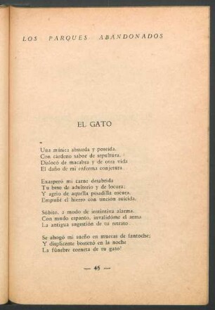 El gato