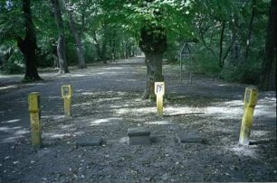 Berlin-Pankow : In Berlin-Pankow, Schlossallee; siehe auch diverse andere incl. s/w