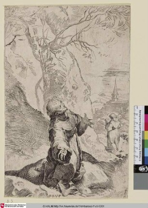 [St. François stigmatisé; The Stigmatization of St. Francis; Le Stimmate di San Francesco; Die Stigmatisation des Heiligen Franziskus]