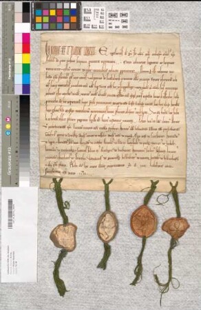Erzbischof Engelbert von Köln bekundet, daß Volquin von Sualenberch seine Ansprüche auf Kirche und Hof zu Stapellage aufgegeben habe. Zeugen: Bischof Bernard von Paderborn, Dompropst Conrad von Köln, Abt Heinrich Helwordensis, Abt Albert von Paderborn, Graf Gottfried von Arnsberg, Graf Adolf von Dassele, Graf Adolf von Marca, Graf Otto von Eversteine, Hermann von Lippe und Bernard, sein Sohn, Bernard von Osedhe, Bertold von Burin, Gottschalk von Patberg, Werner von Brakele, Hermann von Rudhenberg und Sohn Conrad, Rutger von Burbenne, Hermann Schulte von Soest, Heinrich Marschall, Everhard von Ervethe, Widekind von Nuwenburg, Hellenbert von Manen, Bertold von Billinchusen.
