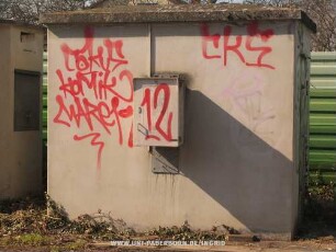 CokUS KoMiK MARek 12 cKS
