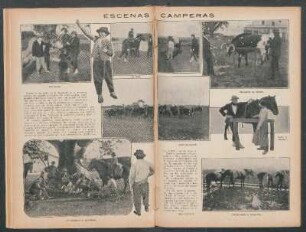 Escenas camperas