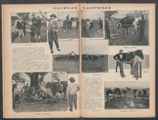 Escenas camperas