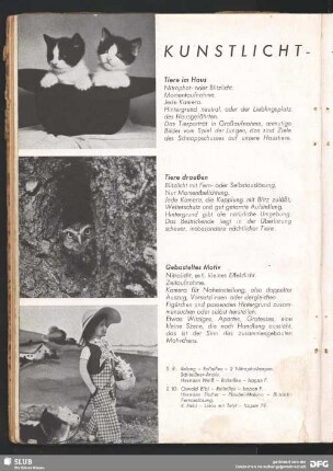 Tiere draußen