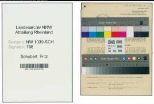 Entnazifizierung Fritz Schubert , geb. 09.04.1902 (Monteur)