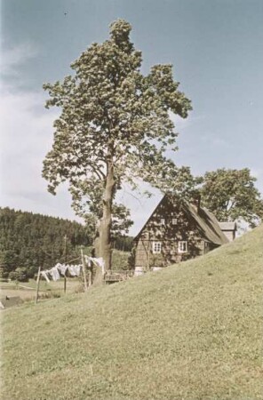 Erzgebirge. Baum, Haus mit Wäsche