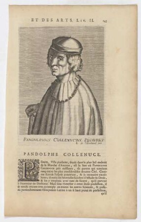 Bildnis des Pandulphus Collenucius