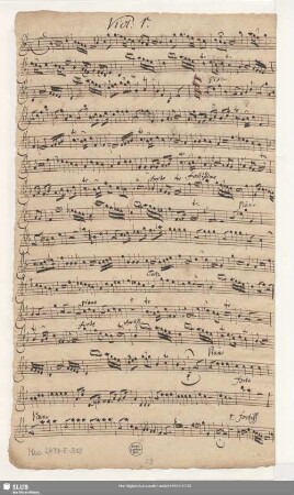 Viol[ino]: 1.