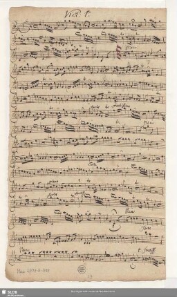 Viol[ino]: 1.