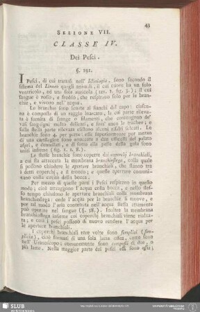 Sezione VII. Classe IV. Dei Pesci