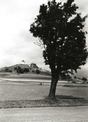 Westerzgebirge. Kupferhübel (Mědník, 910 m) mit Kapelle und Unterkunftshaus. Blick von der Straße Kupferberg-Böhmisch Wiesenthal (Měděnec-Loučná pod Klínovcem) mit Vogelbeerbaum (von Süden)