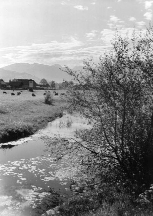 Weide mit Graben vor einer Bergkette (wahrscheinlich im Allgäu)
