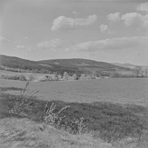 Frühling bei Mehltheuer : Landschaft bei Mehltheuer