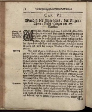Cap. VI. Wunden des Angesichts / der Augen / Ohren / Nasen / Zungen und des Mundes.