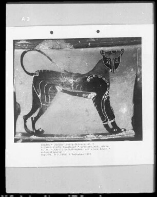 Gefäßfragment mit einem Löwen