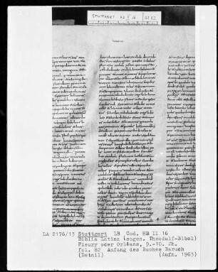 Biblia Latina (sogen. Theodulf-Bibel)