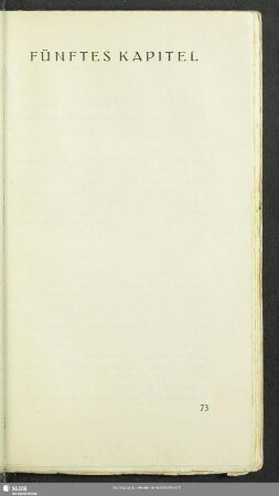 Fünftes Kapitel. Logik, Phantasie, Genie, Gemütsstimmungen, Wille, Gewissen, Begierden