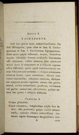 Genvs I. Tachyporvs.