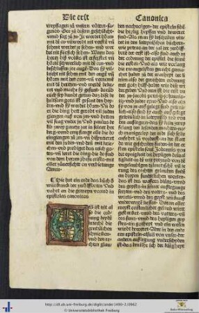 Die gemeyn vorred in epistolas canonicas