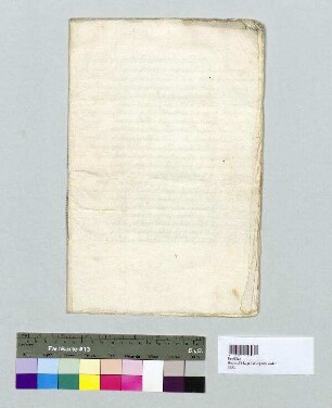 Das Domkapitel des Hochstifts Regensburg teilt Papst Clemens IX. die Wahl des Freisinger Bischofs Albert Sigmund zum Bischof von Regensburg mit. S: Domkapitel Regensburg