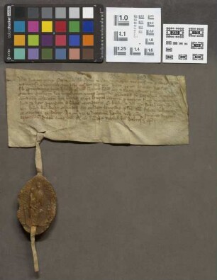 Mainz (Stadt): Solutio Johannis Prepositi eccl. St. Marie in Campis XXIIII florenorum legalium ad Capitulum Eccl. St. Marie in Campis pro procuran...