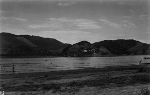 Vorgebirge am Hafen von Santos : Blick auf das Vorgebirge am Hafen von Santos mit einigen Bananenkulturen.
