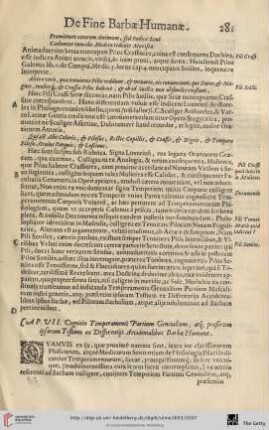 Cap. VII.