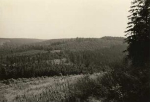 Sächsische Schweiz. Brennesselkamm mit dem oberen Krippenbachtal (Königsmühle). Ansicht von der Jagdhütte am Lindhorn nach Osten