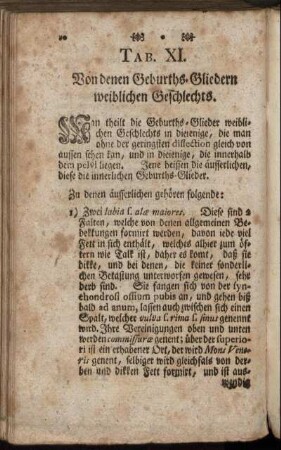 Tab. XI. Von denen Geburths-Gliedern weiblichen Geschlechts.
