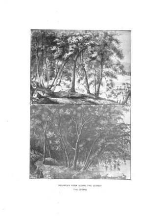 Mountain Path Along The Lehigh The Spring