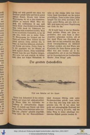 Der gerettete Hohenstoffeln.