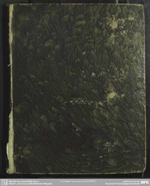 Quatenus Actiones Religioni Non Convenientes Ex Principiis Iuris Publici Universalis Poenis Criminalibus Coerceri Possint : Dissertatio Inauguralis