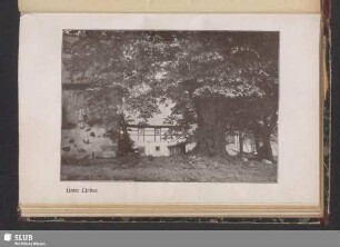 Unter Linden