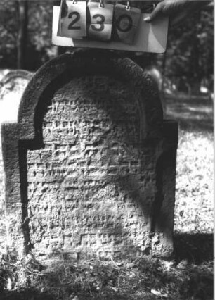 Grabstein 230 (Index: 99609866) Material: Sandstein Zustand: stark verwittert, angeschlagen, weitgehender Textverlust Maße HxBxT: 70x55x7 cm Beschreibung: Stele, eingezogener Rundbogenabschluß, Schriftfeld eingetieft: Grabstein 230