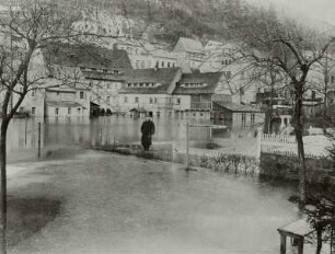 Bad Schandau: Hochwasser. Überschwemmte Gärten der Elbaue