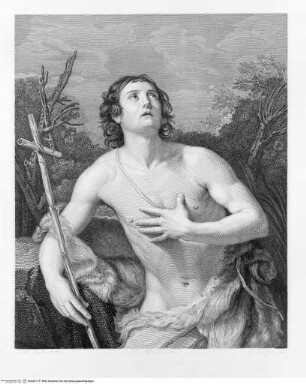 La Reale Galleria di Torino illustrataBand 4.Tafel CXXXVIII.: Johannes der Täufer - Volume IVTafel CXXXVIII.: San Giovanni Battista
