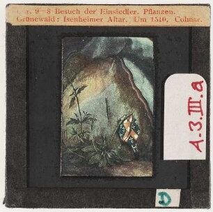 Grünewald: Isenheimer Altar, Besuch der Einsiedler, Detail: Pflanzen (Erste Farb-Kleinbilddias am Seminar, 1943 angekauft)