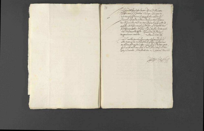 Militärische Werbungen und Kriegsrüstungen Pfalzgraf Wolfgangs zugunsten Louis I. de Bourbon, Fürst von Condé, und Verwarnung des Pfalzgrafen durch Kaiser Ferdinand I. und Landgraf Philipp von Hessen.