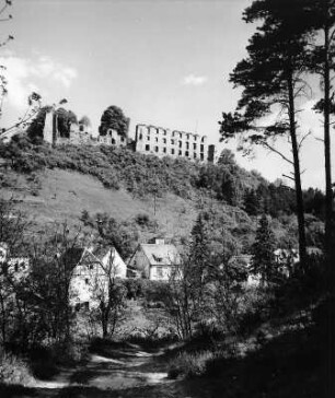 Altleiningen. Burg Altleiningen (1120/1300 und 1601/1650)