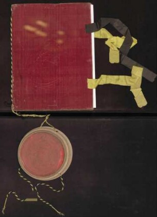 Kaiser Karl VI. belehnt Franz Ignatius Antonius von Reinach, Deutschordensritter, Landkomtur der Balleien Elsass und Burgund, Komtur zu Altshausen, mit dem Halsgericht, Stock und Galgen und dem Blutbann in der Herrschaft Achberg. Der Landkomtur hat durch seinen bevollmächtigten Anwalt Hugo Xaver Edlen von Heunisch, Agenten am kaiserlichen Hof, gewöhnliche Gelübde und Verpflichtung leisten lassen [sonst alles wie im Blutbannprivileg von 1715 Nov. 28].